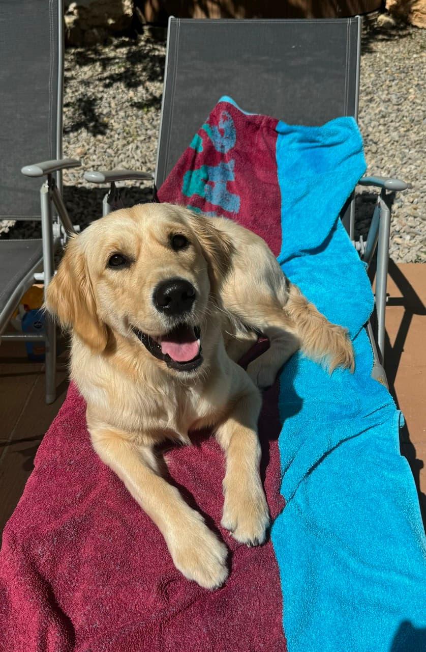 Maggie/IMG_0580 Large.jpeg