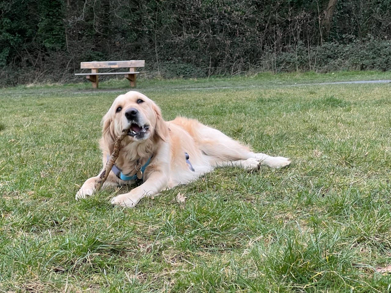 Maggie/IMG_1232 Large.jpeg